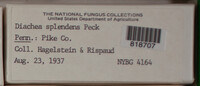 Image Associated With the Occurence